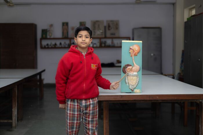 A young boy in a classroom pointing at an anatomical model related to obvious lies.