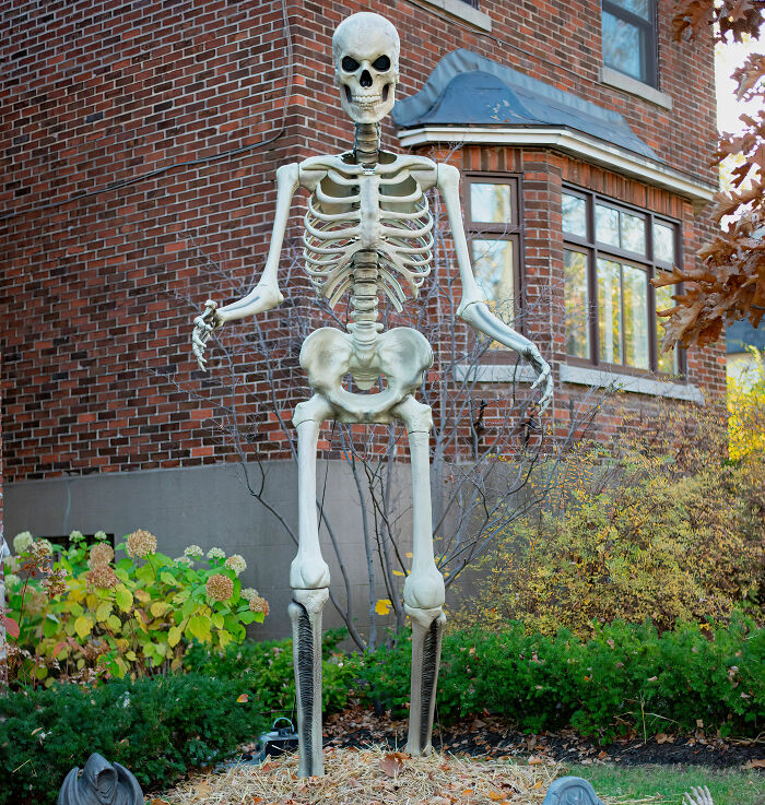 Large Halloween skeleton decoration in front of brick house Large Halloween skeleton decoration in front of brick house