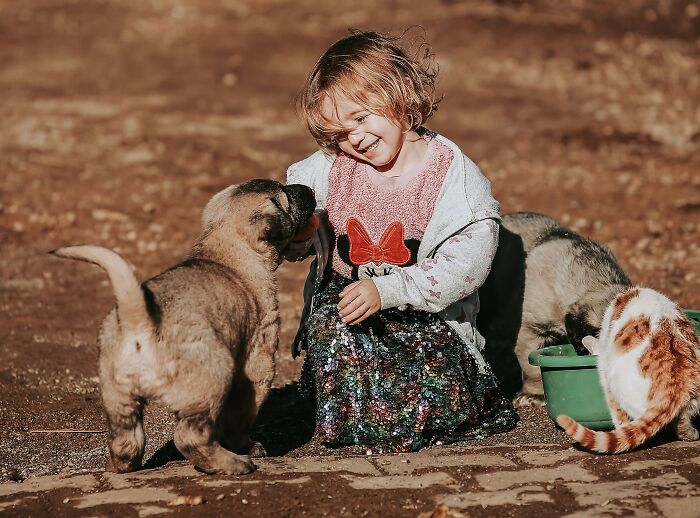 A young girl smiling and playing outdoors with puppies and a cat, sharing hidden moments.