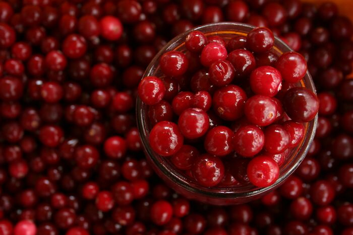 A jar overflowing with fresh red cranberries, symbolizing health tips women wish they knew