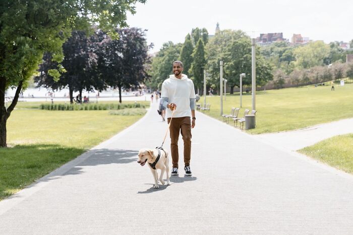 A man walking his dog in a park, related to satisfying revenge stories.