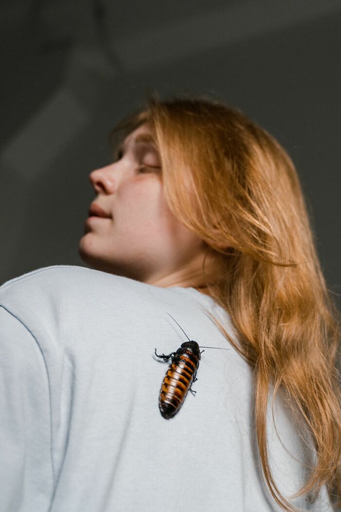 Cockroach on a woman’s shoulder causing an urgent feeling to leave