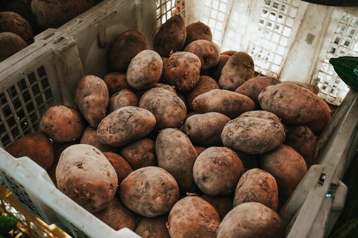 A plastic crate filled with raw potatoes given instead of trick-or-treating candy