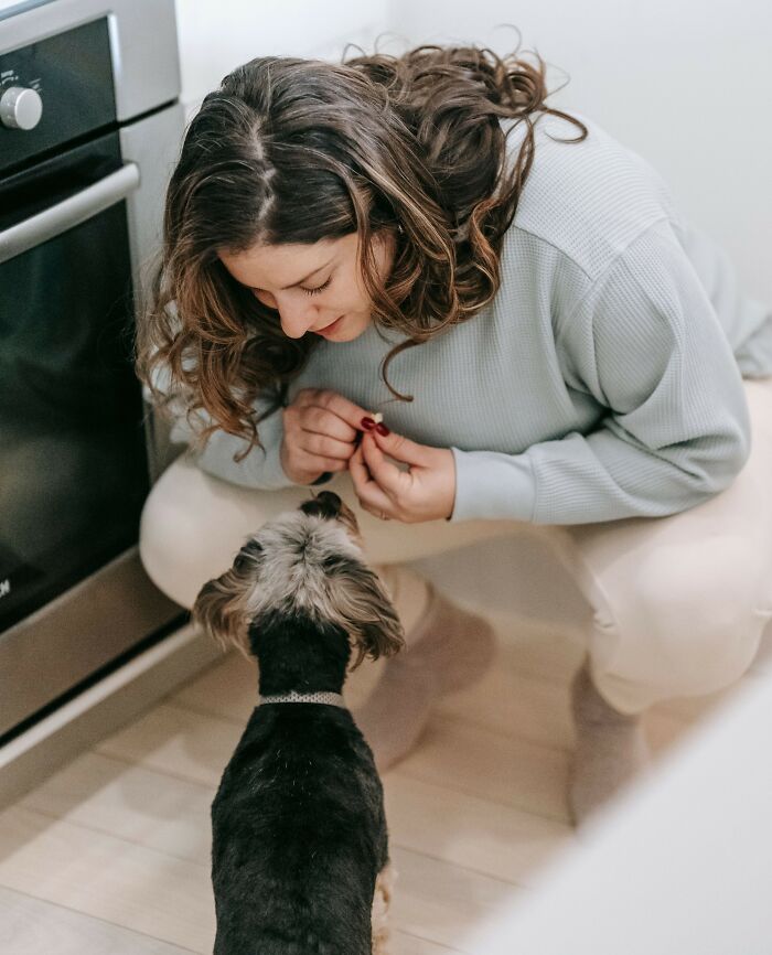 Woman crouching to interact with small dog in kitchen, home pet bonding
