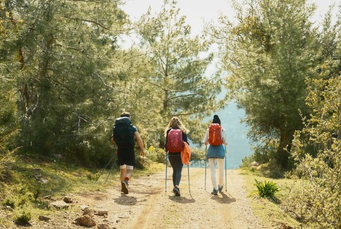 Three friends hiking in the woods, highlighting stories of people who had an urgent feeling to leave immediately