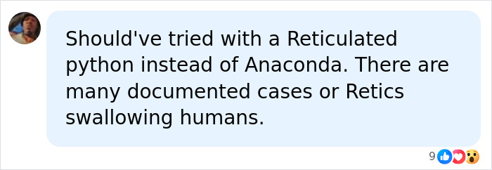 Man Lets A Giant Snake Try To Swallow Him, Says A Much Smaller Animal Hurt Far More