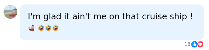 A social media comment about avoiding a permanent cruise ship journey.