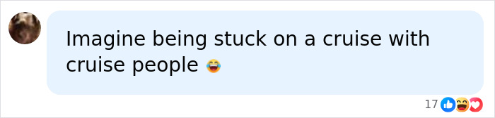 Social media post discussing being stuck on a permanent cruise with cruise fans.