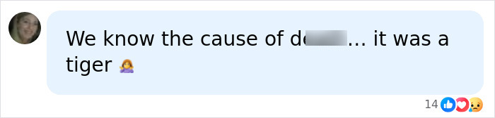 Comment stating cause of d***h was a tiger attack Comment stating cause of d***h was a tiger attack