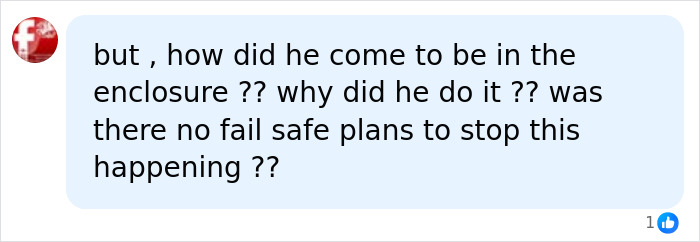 Comment questioning how former child actor entered tiger enclosure Comment questioning how former child actor entered tiger enclosure