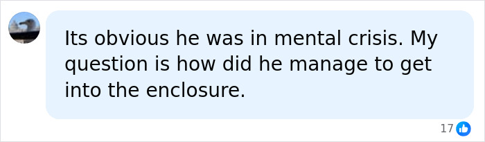 Comment noting mental crisis and questioning entry into tiger enclosure in former child actor case Comment noting mental crisis and questioning entry into tiger enclosure in former child actor case