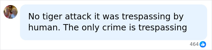 Comment claiming no tiger attack, human trespassing caused incident in former child actor case Comment claiming no tiger attack, human trespassing caused incident in former child actor case