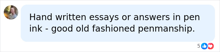 Comment advocating for handwritten essays in response to students homework issues