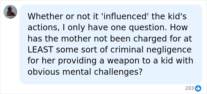 A social media comment discussing parental negligence in a teen's violent family history.