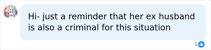 A online comment pointing out the ex-husband's fault in the kids home alone story.
