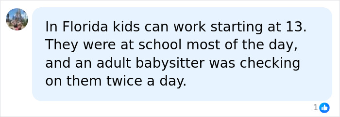 A comment offering details about babysitting arrangements for kids home alone.