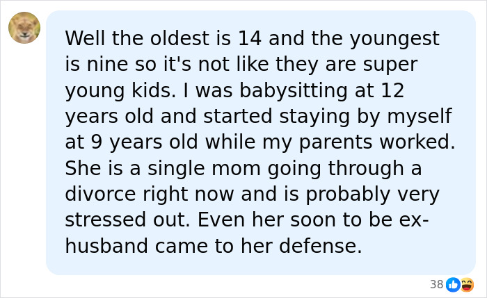 Online comment defending the mom who left kids home alone for a trip