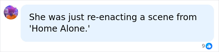 A comment joking about Home Alone in response to news of a mom who left kids home alone.