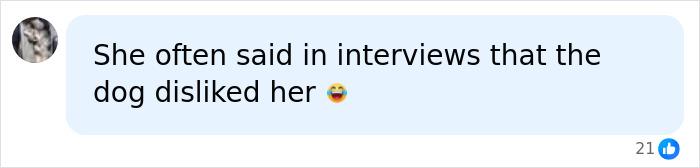 User comment on Sofia Vergara talking about her dog and Joe Manganiello User comment on Sofia Vergara talking about her dog and Joe Manganiello
