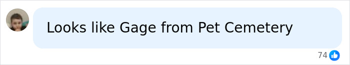 User comment comparing Rumpelstiltskin Tiptoe man to Gage from Pet Cemetery User comment comparing Rumpelstiltskin Tiptoe man to Gage from Pet Cemetery