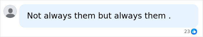 A online comment regarding a dad caught committing an alarming crime mid-flight reading Not always them but always them.