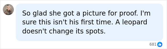 Social media comment reacting to a dad caught committing an alarming crime mid-flight