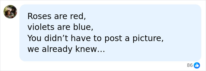 A rhyming poem comment responding to the story of a dad caught red-handed committing an alarming crime mid-flight.