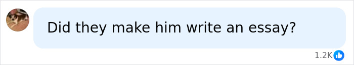 Social media comment asking if the dad caught red handed had to write an essay after his mid-flight crime
