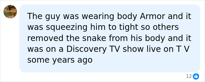 Man Lets A Giant Snake Try To Swallow Him, Says A Much Smaller Animal Hurt Far More