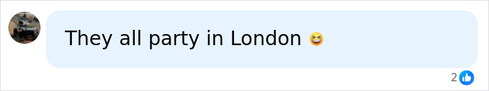 Comment about partying in London related to royal mother and child incident