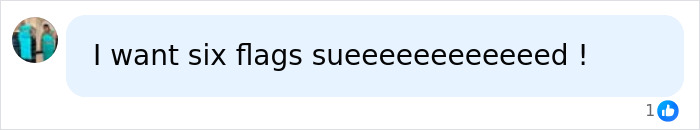 Online user comment calling for legal action regarding a viral Six Flags accident.