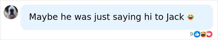 Social media reaction discussing a chilling text on passenger phone after a United flight diverted. Social media reaction discussing a chilling text on passenger phone after a United flight diverted.