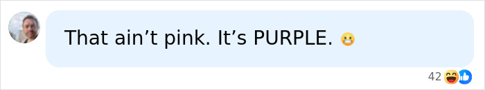 Online comment on singer Pink makeup-free photo stating that ain't pink, it's PURPLE with a grimacing emoji.