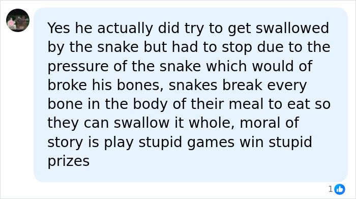 Man Lets A Giant Snake Try To Swallow Him, Says A Much Smaller Animal Hurt Far More