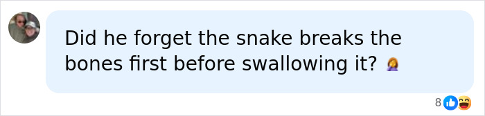 Man Lets A Giant Snake Try To Swallow Him, Says A Much Smaller Animal Hurt Far More