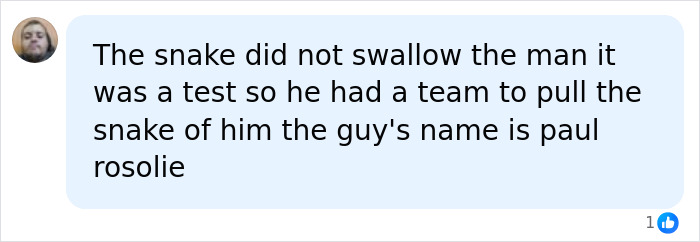 Man Lets A Giant Snake Try To Swallow Him, Says A Much Smaller Animal Hurt Far More