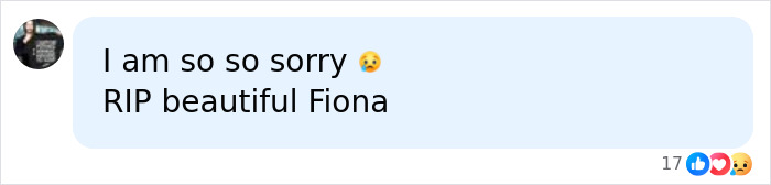 RIP message for Chad Lowe's daughter Fiona after her tragic passing.