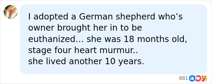 A comment sharing a story about adopting a German shepherd saved by a vet employee instead of being put to sleep. A comment sharing a story about adopting a German shepherd saved by a vet employee instead of being put to sleep.