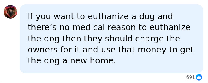 Social media comment regarding ethical choices when a family surrenders a dog at the vet clinic Social media comment regarding ethical choices when a family surrenders a dog at the vet clinic