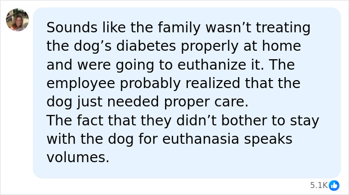 A comment criticizing a family for not staying during pet euthanasia when a vet employee saved the dog. A comment criticizing a family for not staying during pet euthanasia when a vet employee saved the dog.