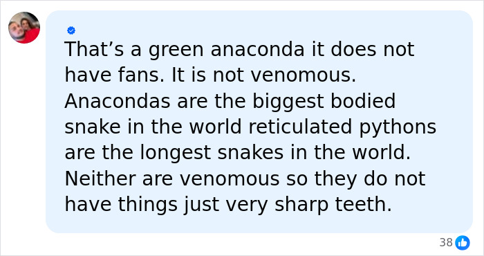 Man Lets A Giant Snake Try To Swallow Him, Says A Much Smaller Animal Hurt Far More