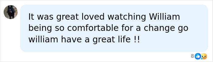 A social media comment praising Prince William for looking comfortable on Graham Norton's show. A social media comment praising Prince William for looking comfortable on Graham Norton's show.