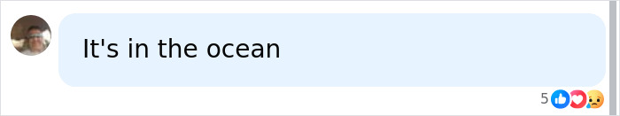 Short user comment stating MH370 is in the ocean.