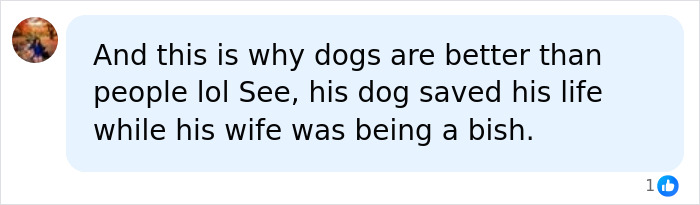 A user comment discussing marital struggles and a dog saving a life in the Joe Manganiello news. A user comment discussing marital struggles and a dog saving a life in the Joe Manganiello news.