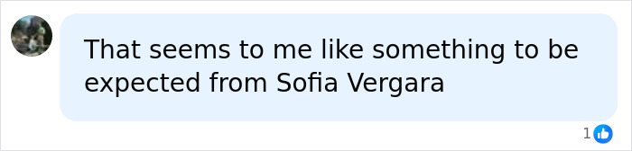 A Facebook comment discussing expectations regarding Sofia Vergara amidst the marriage controversy. A Facebook comment discussing expectations regarding Sofia Vergara amidst the marriage controversy.