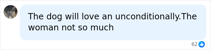 Fan comment about Joe Manganiello and Sofía Vergara marriage with dog comparison Fan comment about Joe Manganiello and Sofía Vergara marriage with dog comparison
