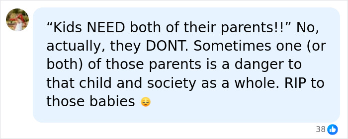 A comment discussing parental danger regarding a mom picking up her 2 children from dad's home.