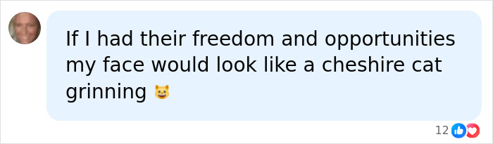 Social media comment about freedom and happiness comparing to cheshire cat grin Social media comment about freedom and happiness comparing to cheshire cat grin