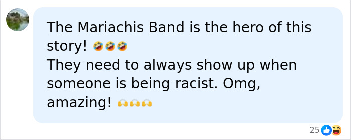A social media comment about a mariachi band playing during a Laguna Beach proposal hijacked by a Karen.