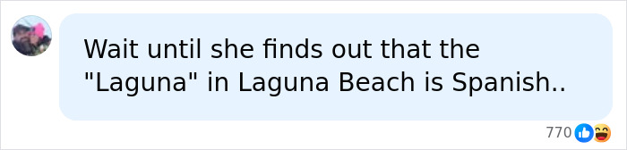 Social media comment mentioning Laguna Beach proposal on a white background